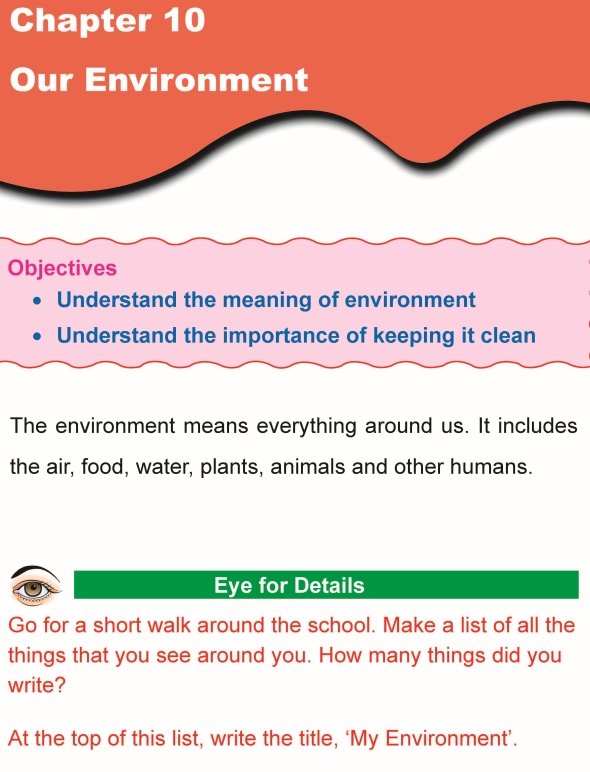 Grade 1 Science Lesson 10 Our Environment
