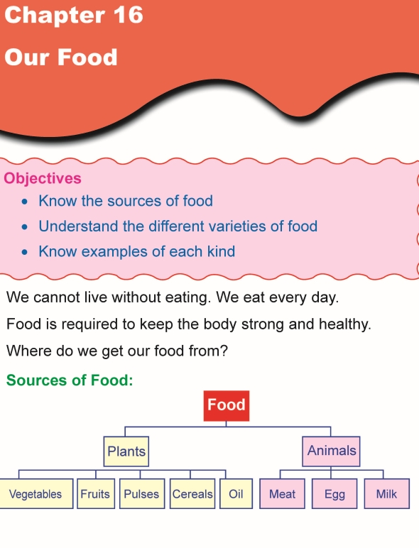 Grade 1 Science Lesson 16 Our Food