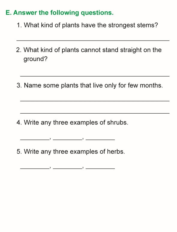 1st grade 1 science worksheet