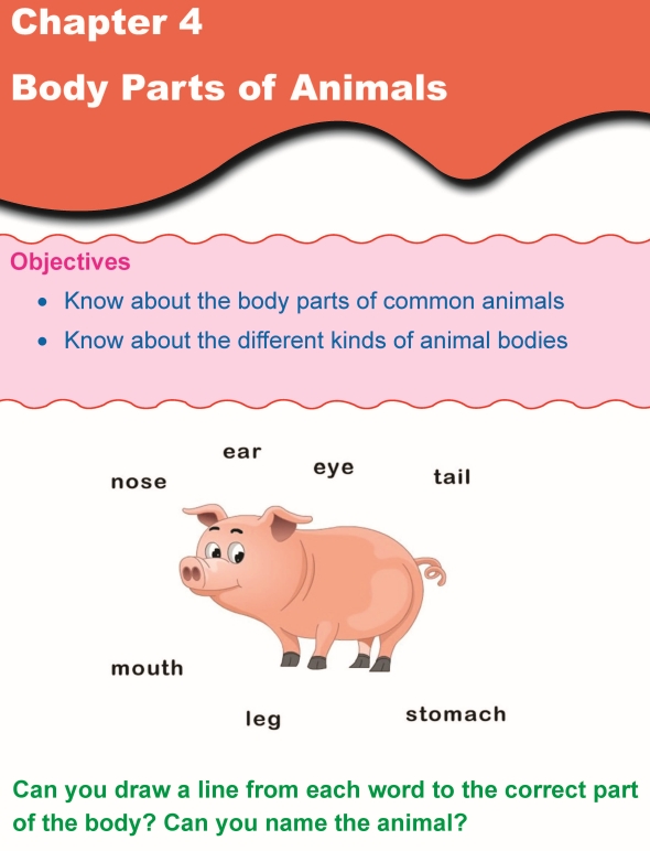 Grade 1 Science Lesson 4 Body Parts of Animals | Primary Science