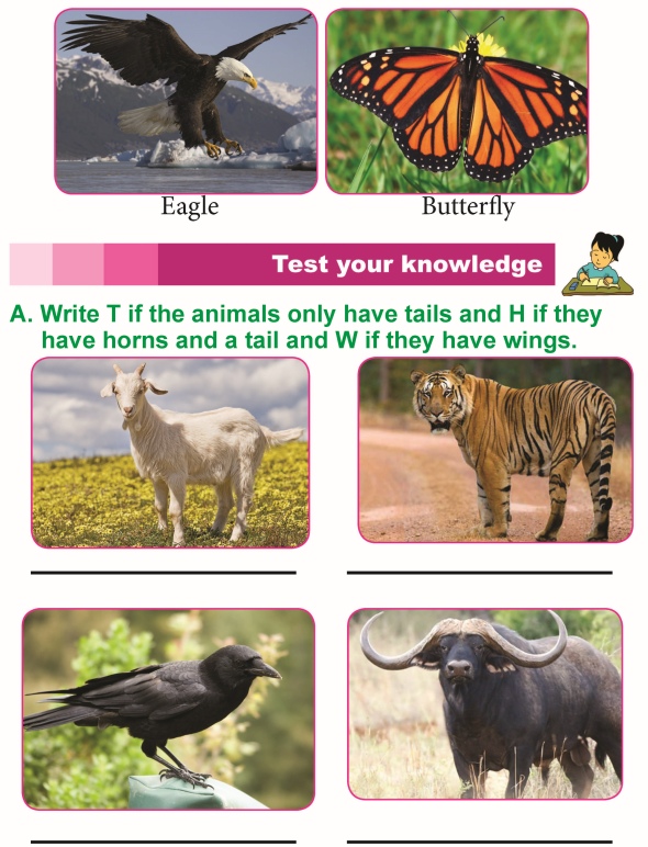 Grade 1 Science Lesson 4 Body Parts of Animals | Primary Science