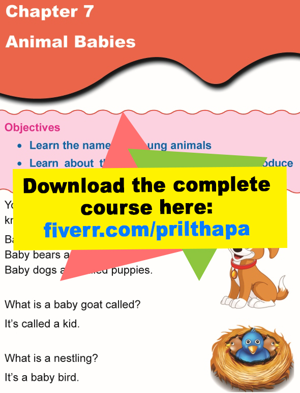Grade 1 Science Lesson 7 Animal Babies
