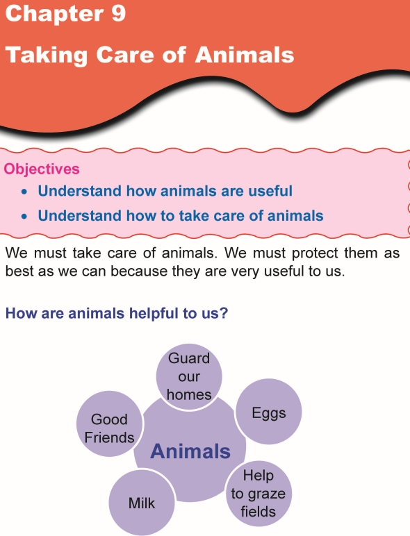 Grade 1 Science Lesson 9 Taking Care of Animals