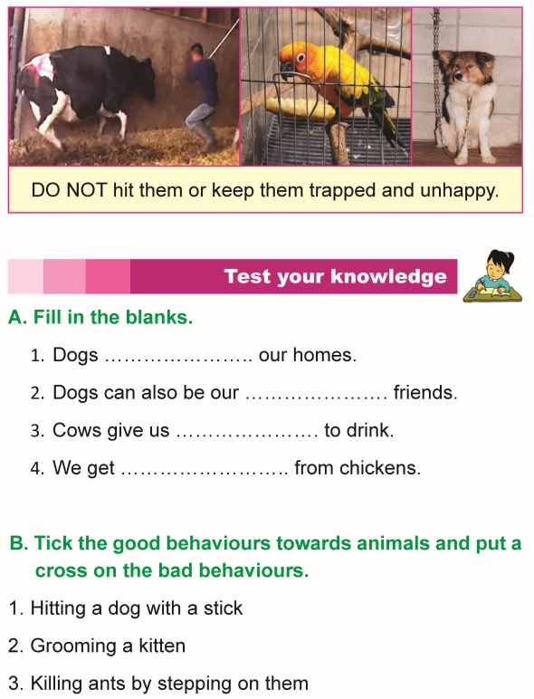 Grade 1 Science Lesson 9 Taking Care of Animals | Primary Science