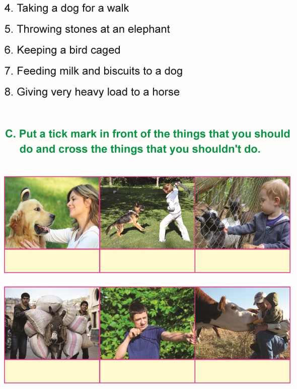 Grade 1 Science Lesson 9 Taking Care of Animals | Primary Science